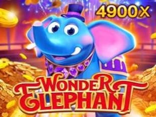Wonder Elephant